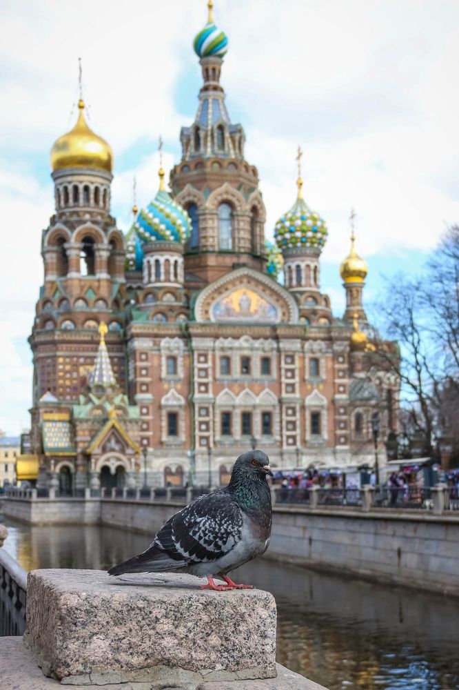 Спас-на-Крови