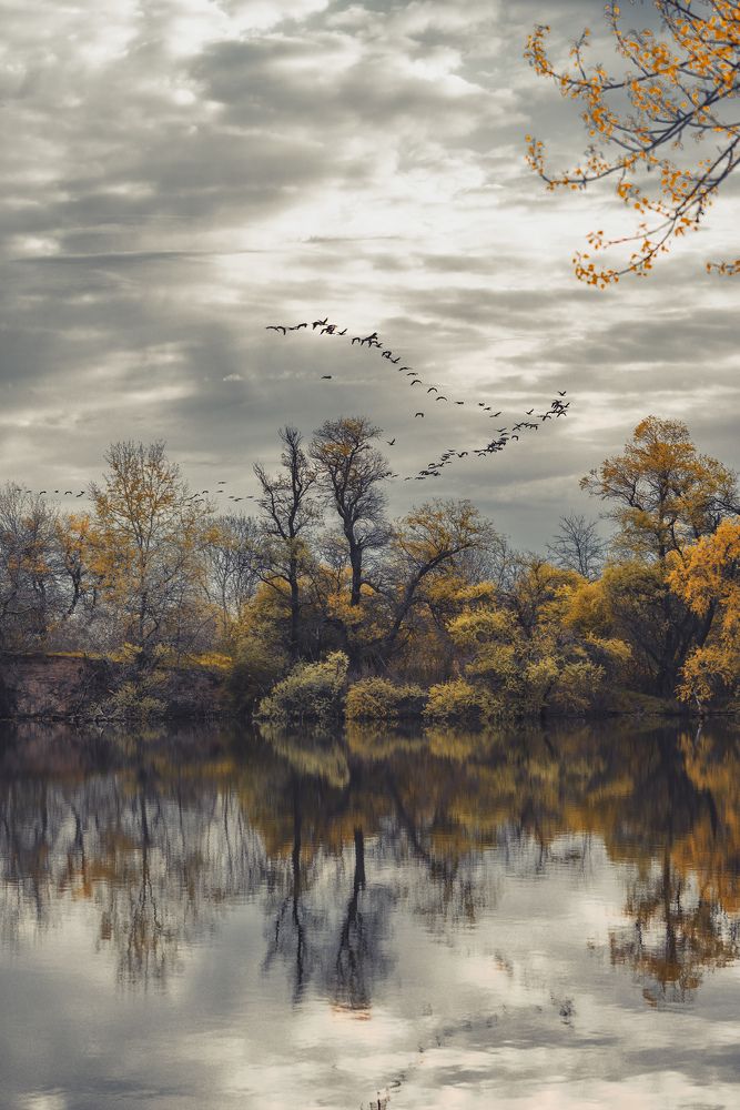 Photograph by 