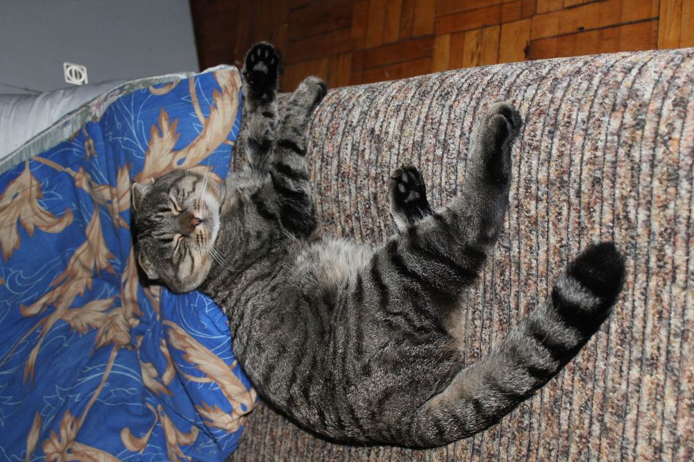 Photograph by Денис Птюшкин