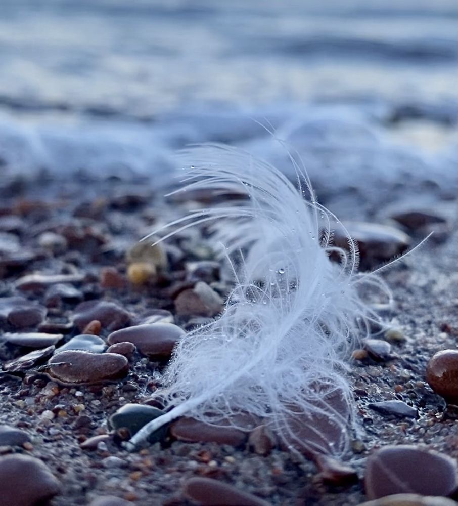 Photograph by Виктория Ярина