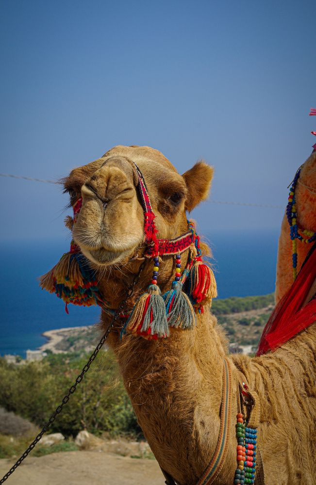 Photograph by Demirtas Yusuf