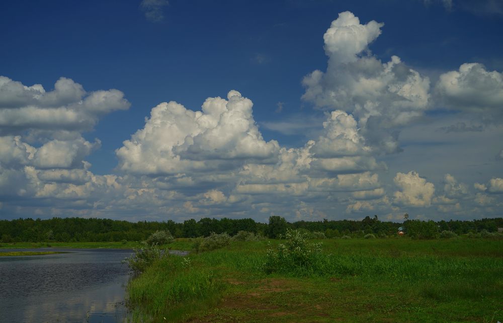 Измаил Ефимов. Россия, г.Йошкар-Ола.  На поймах р.Большая Кокшага. 14 июня 2021
