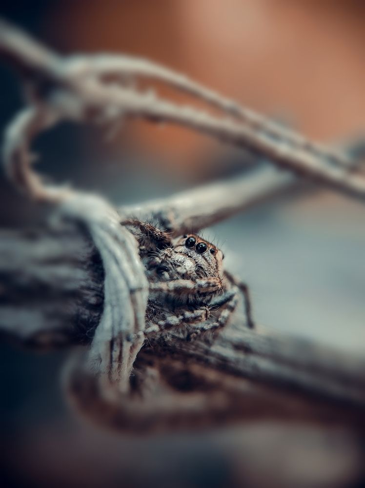 Photograph by PRABAGARAN V