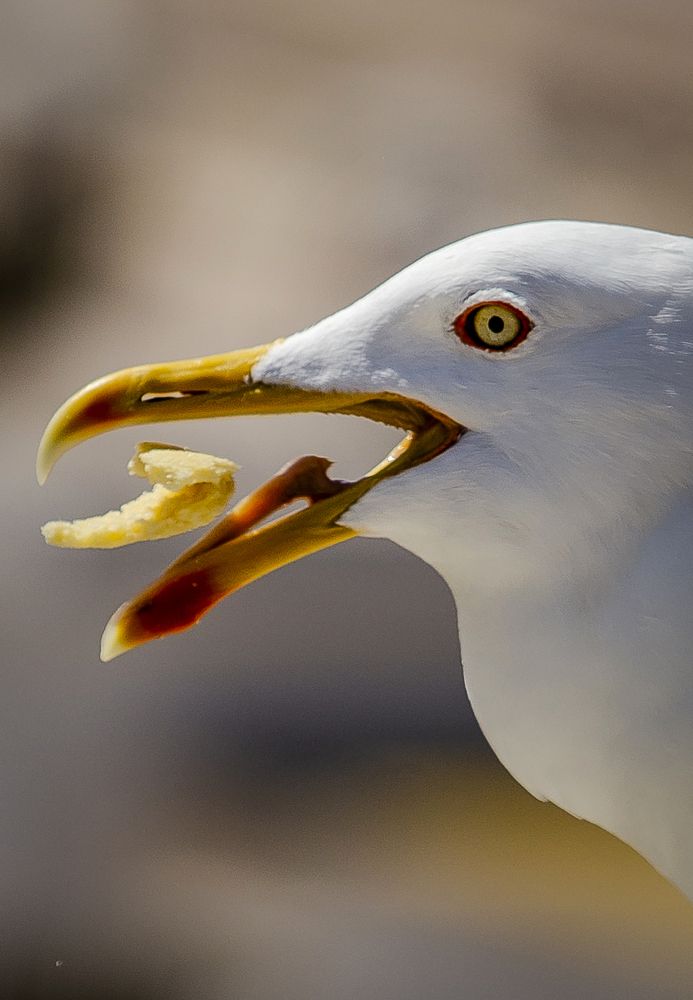 Photograph by Katja Sen