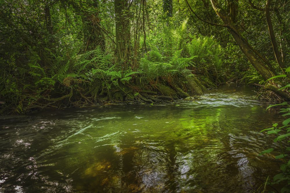 Photograph by Vitaliy Tuzov