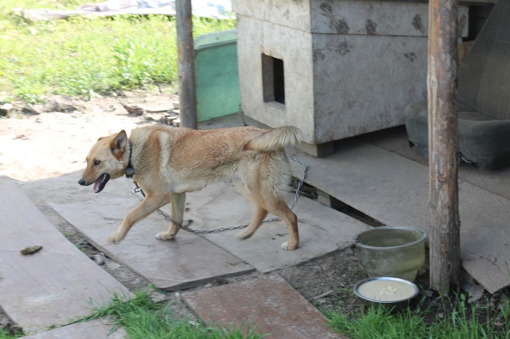 Photograph by Денис Птюшкин