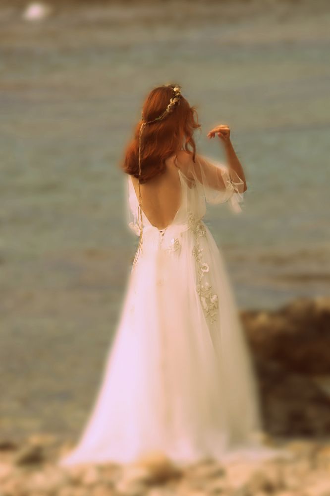 The rose of winter -