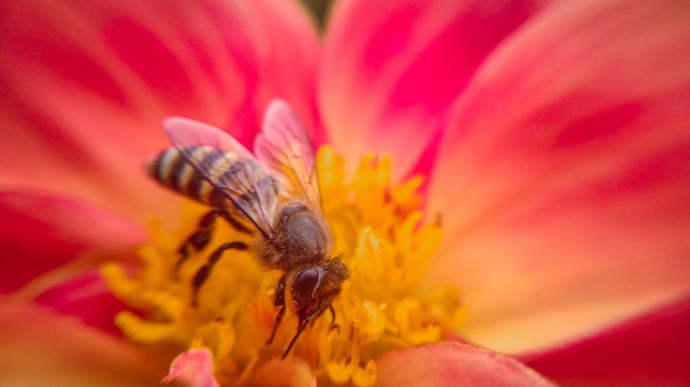 Photograph by Abinesh Kumar R