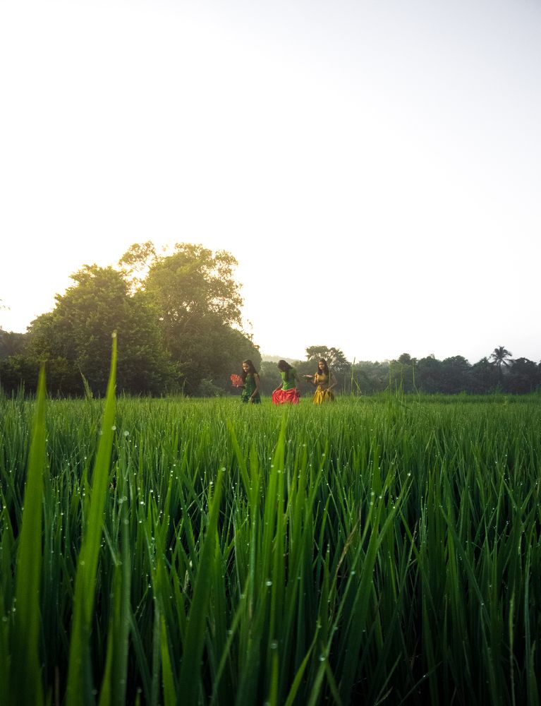 Photograph by SIBIN V