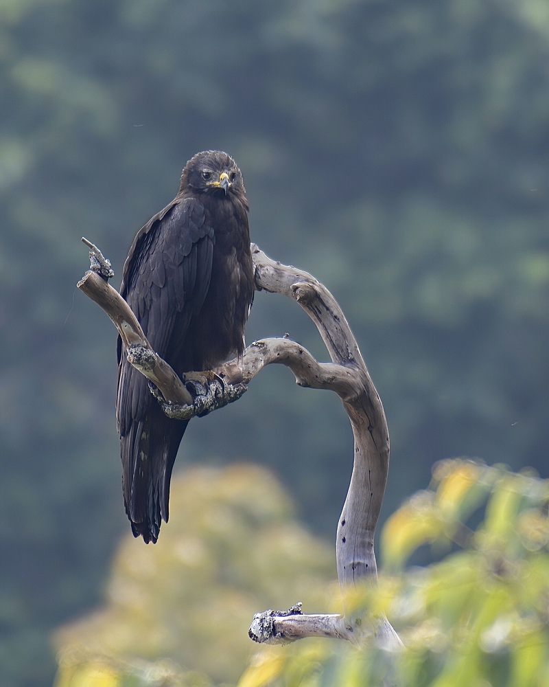 Photograph by siva athithya s