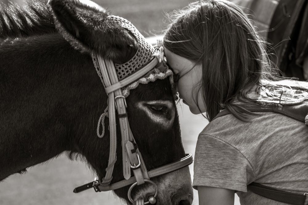 Photograph by Владимир Бессолицын