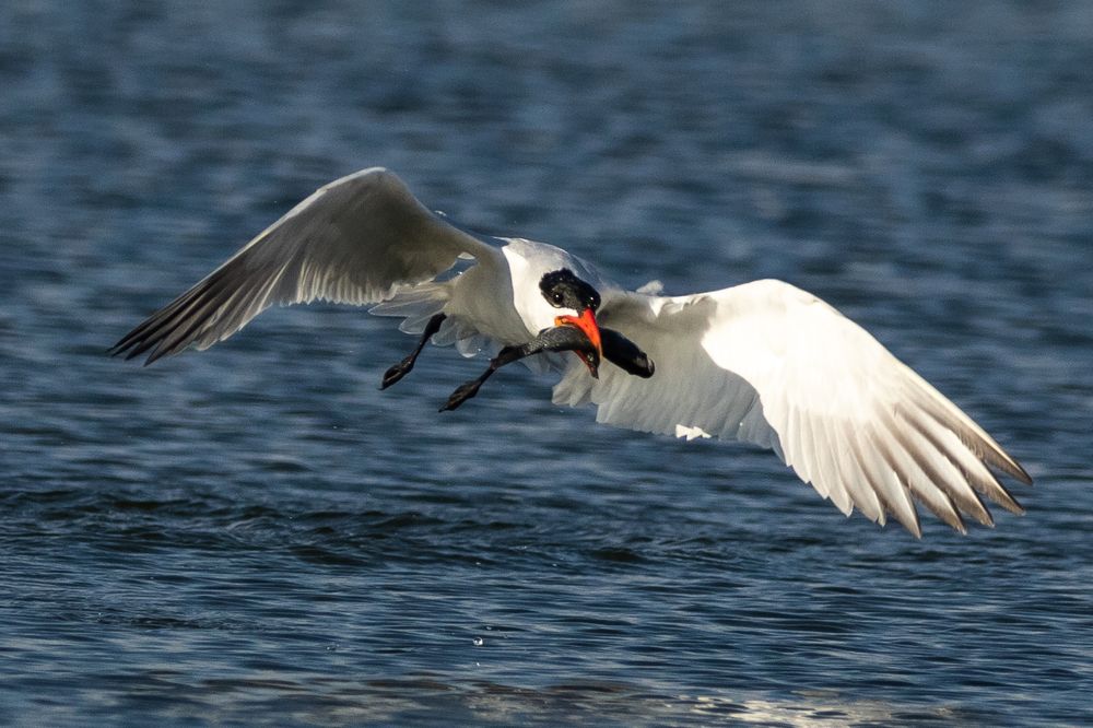 Photograph by kishore varma