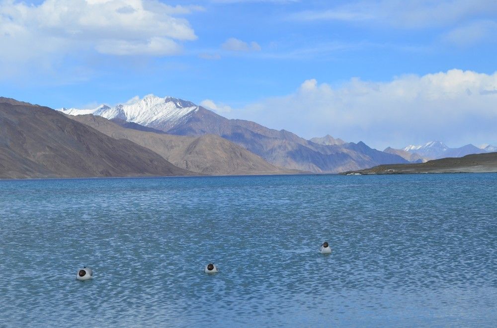 Photograph by Kiran Srinivasa