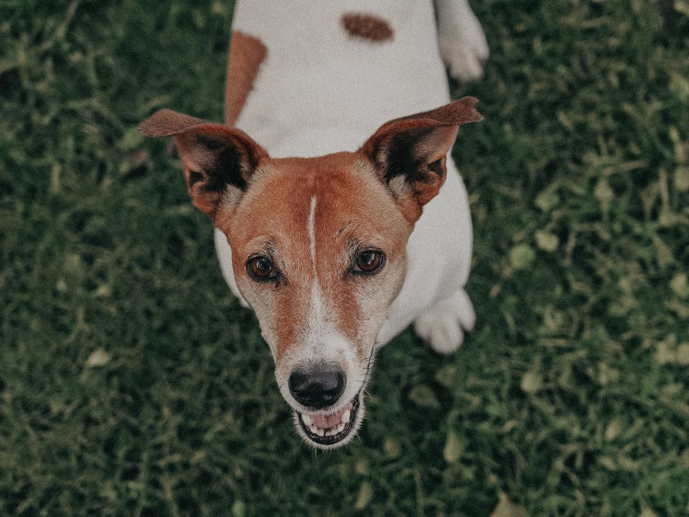 Photograph by Елена Корнякова