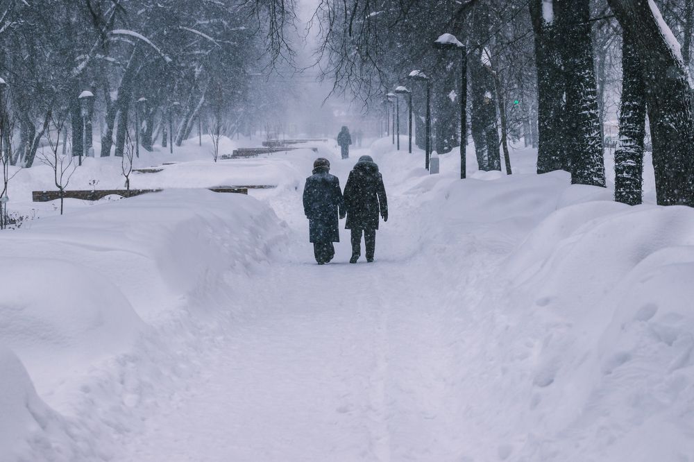 Photograph by Александр Михеев