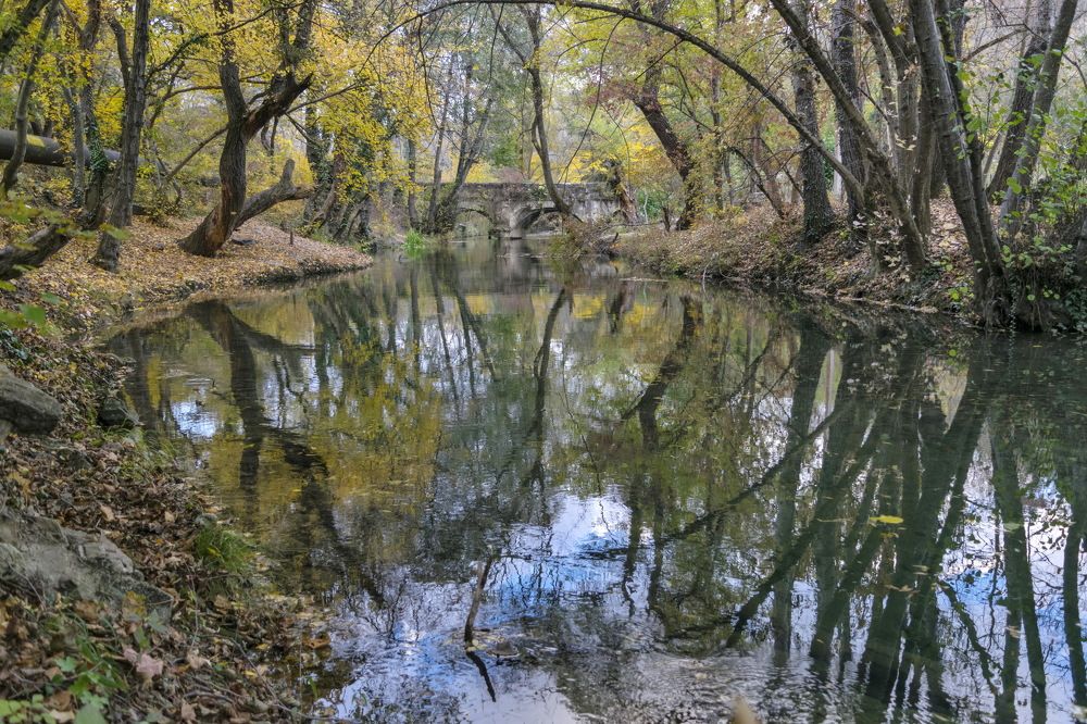 Photograph by Игорь Кузьмин