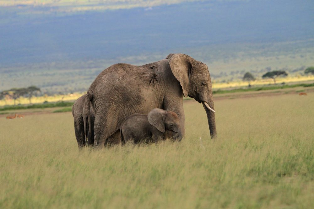 Photograph by bharath kumar