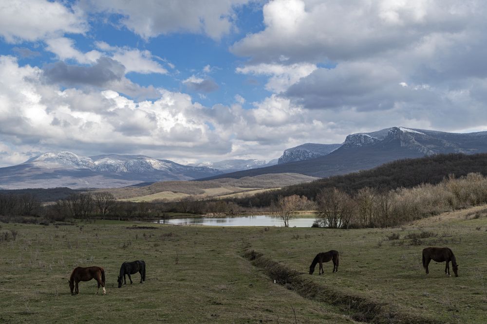 Photograph by Игорь Кузьмин
