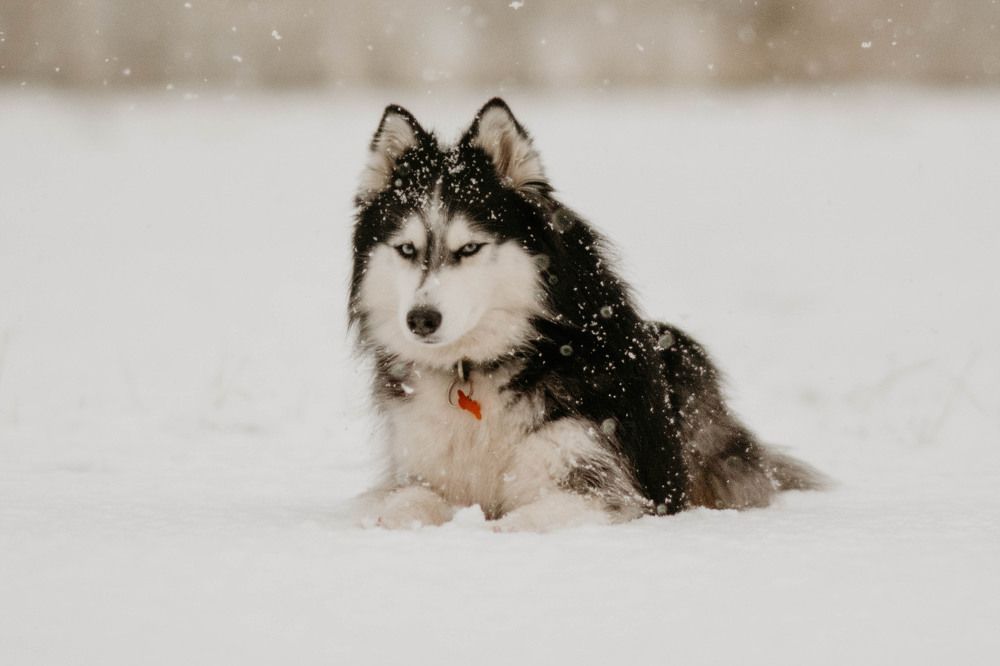 Фотография автора Виктория