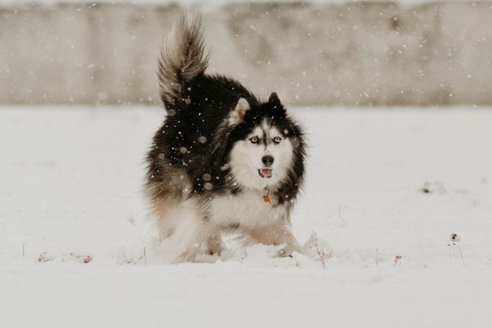 Фотография автора Виктория