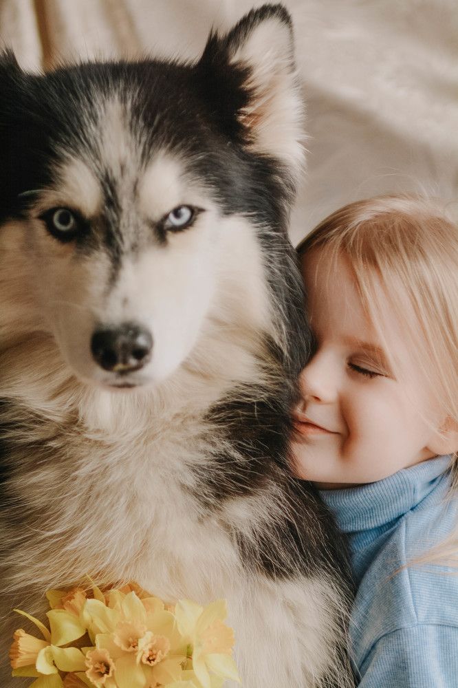 Фотография автора Виктория