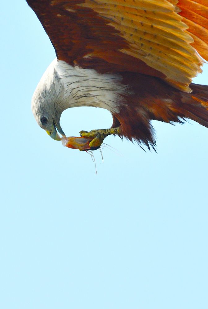 Photograph by Sarathlal Sasidharan