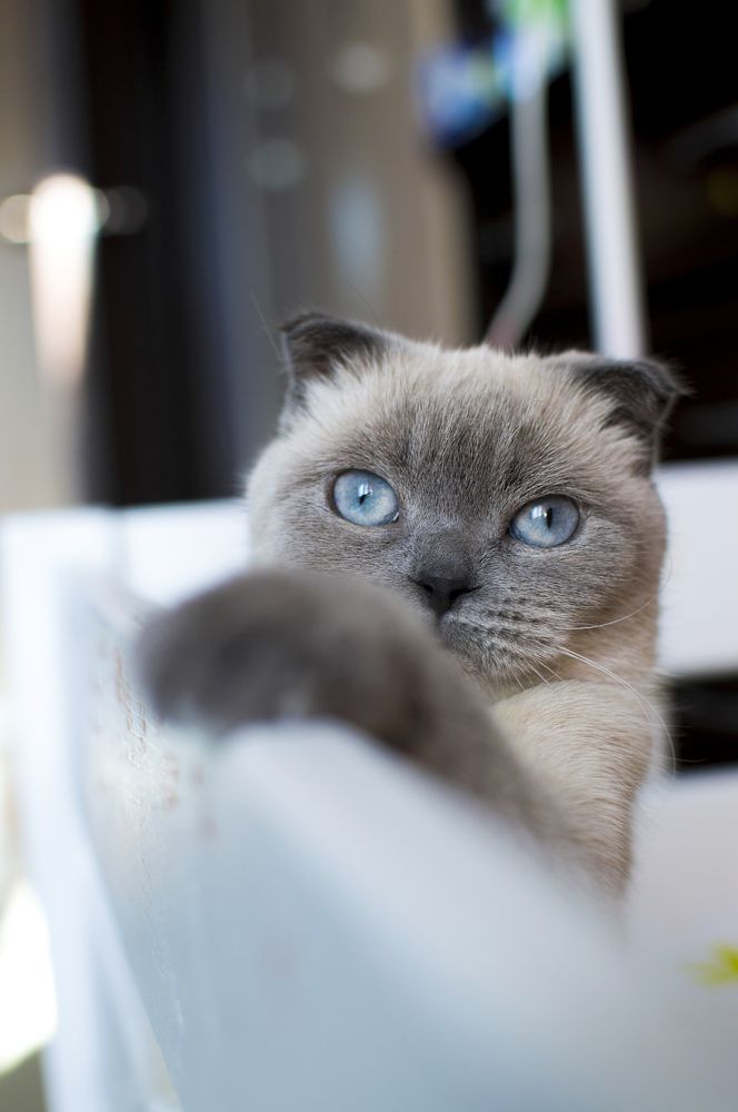 Фотография автора Наталия Шарова