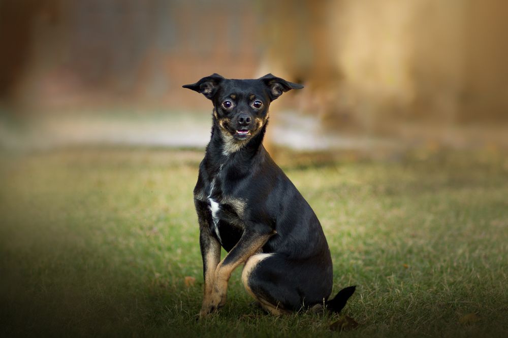 Photograph by Marcia Camargo