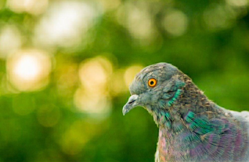 Photograph by Chithra PositivityandPassion