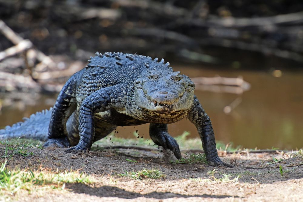 Photograph by Наталья Ляшенко