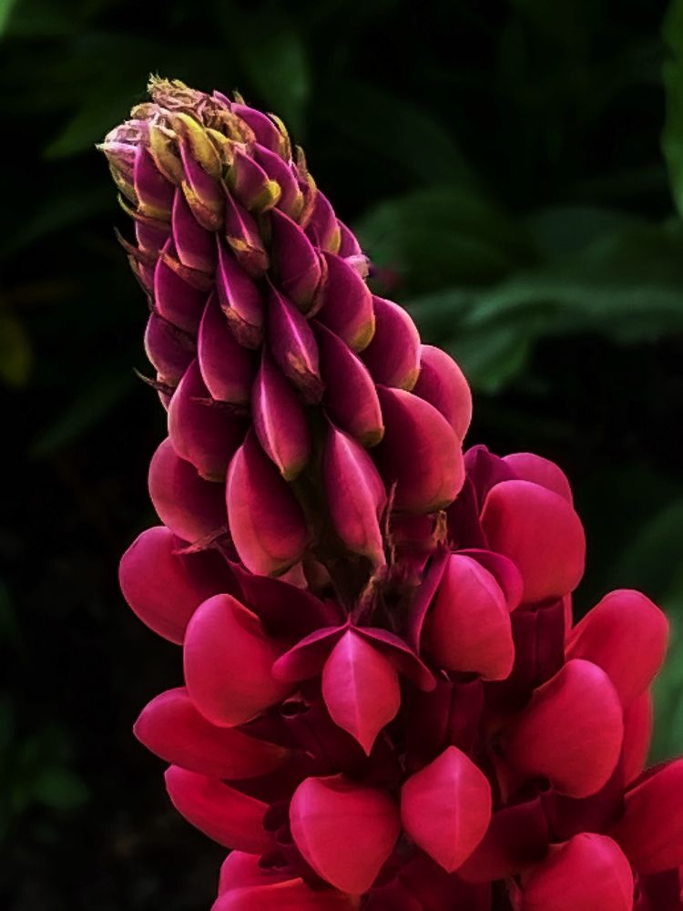 Photograph by Ольга Скиба