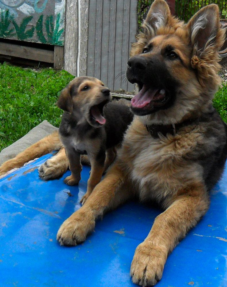 Photograph by Марат Кучкаев