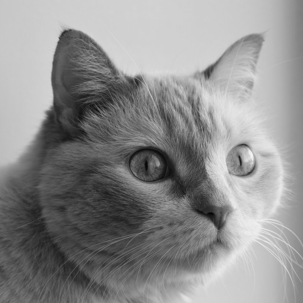 Photograph by Kira Bahvalova