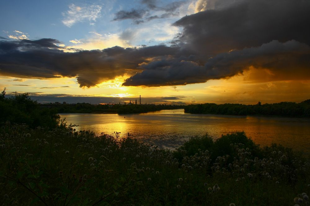 Расплескалась палитра