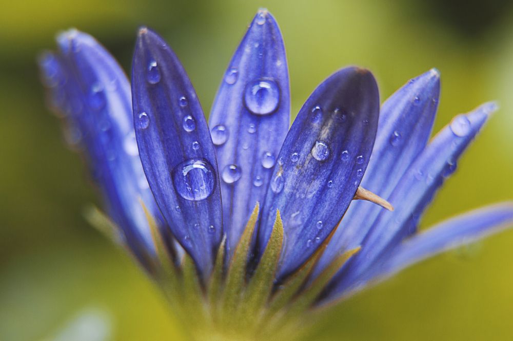 Photograph by luis peiteado