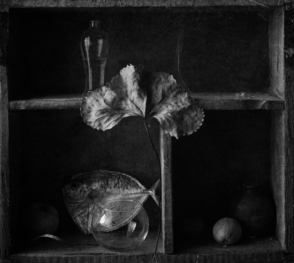 Photograph by Мария Сапего