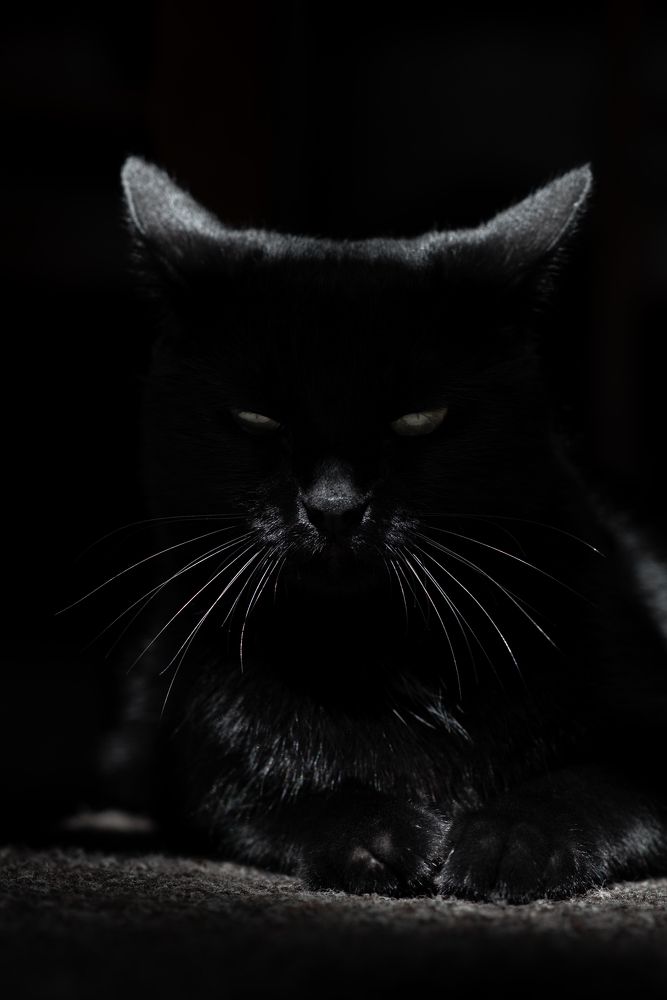 Photograph by Анна Халкониди