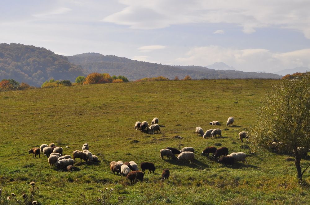 Photograph by Заурбек Шахмурзаев