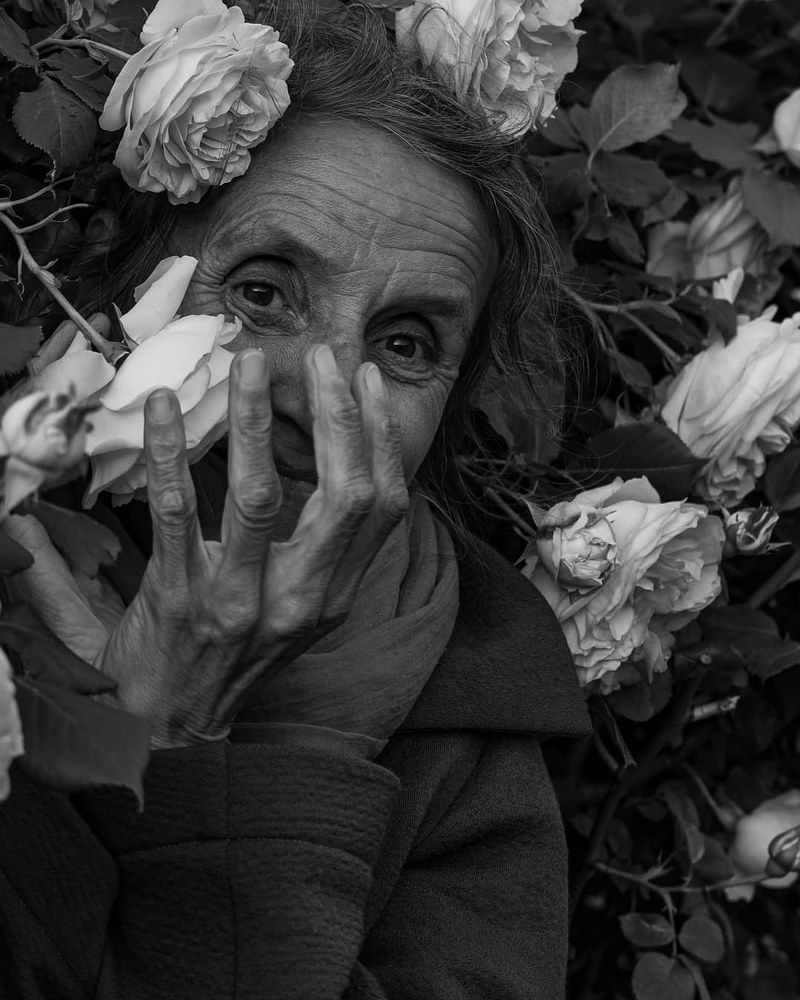 Фотография автора Georgeta Andronachi