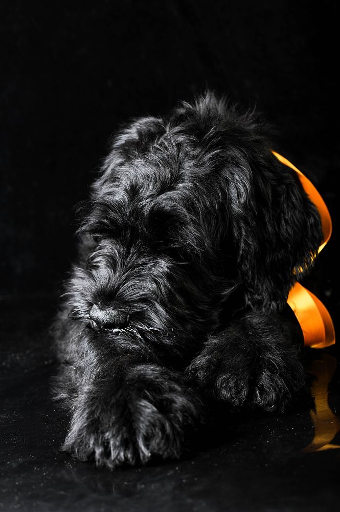 Photograph by Мария Лавриненко