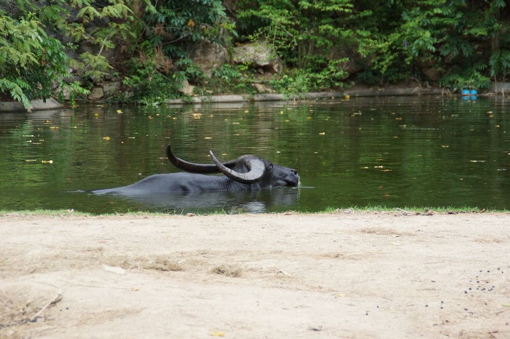 Photograph by Андрей Елькин