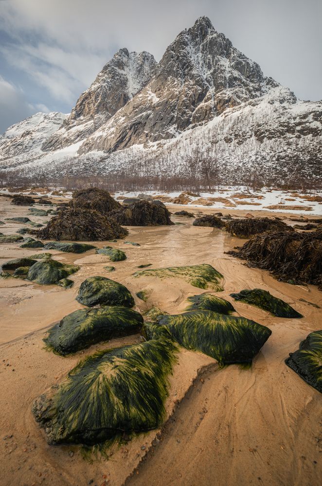 Photograph by Adrian Szatewicz