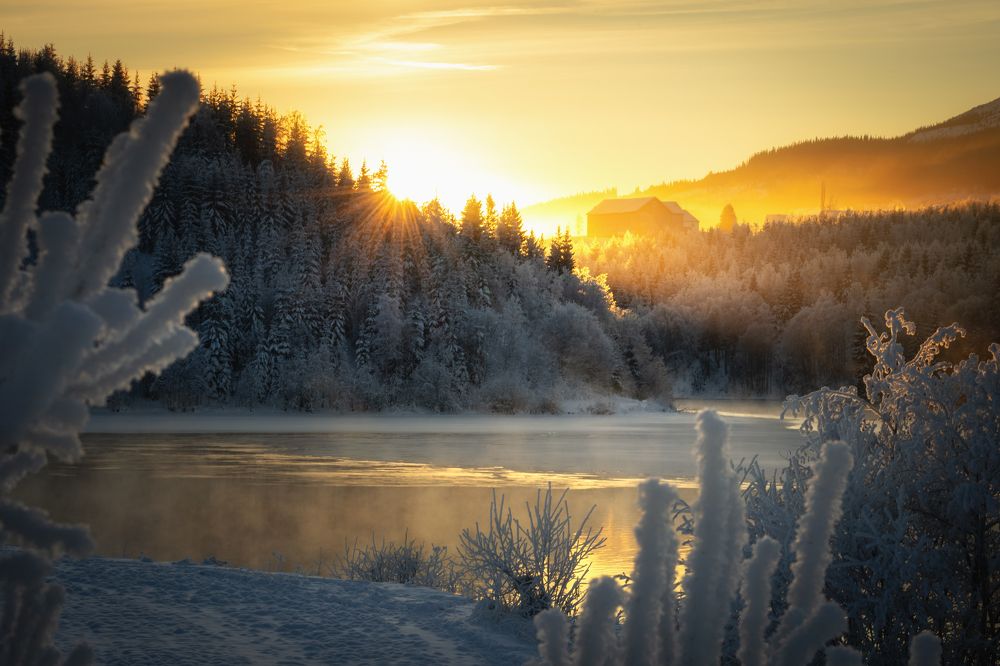 Photograph by Adrian Szatewicz