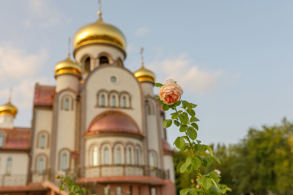 Photograph by Елена Власова