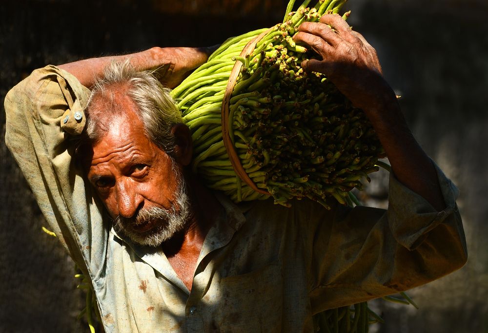 Photograph by Sarathlal Sasidharan