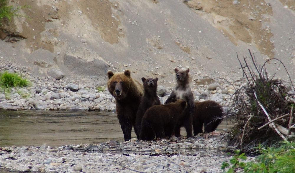 Photograph by Андрей Елькин