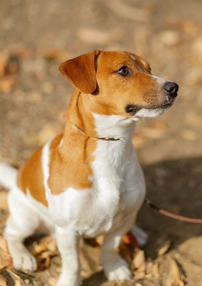 Photograph by Елена Власова