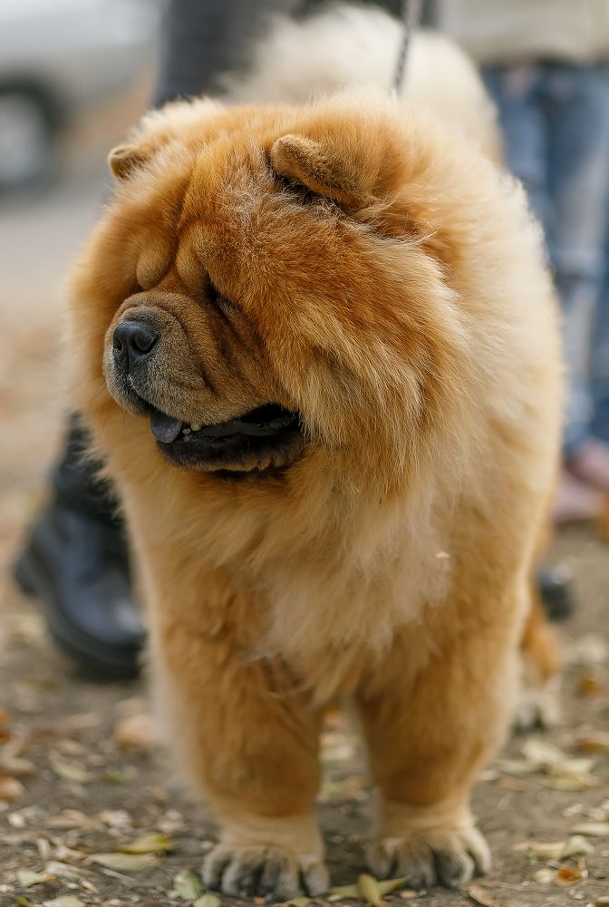 Photograph by Елена Власова