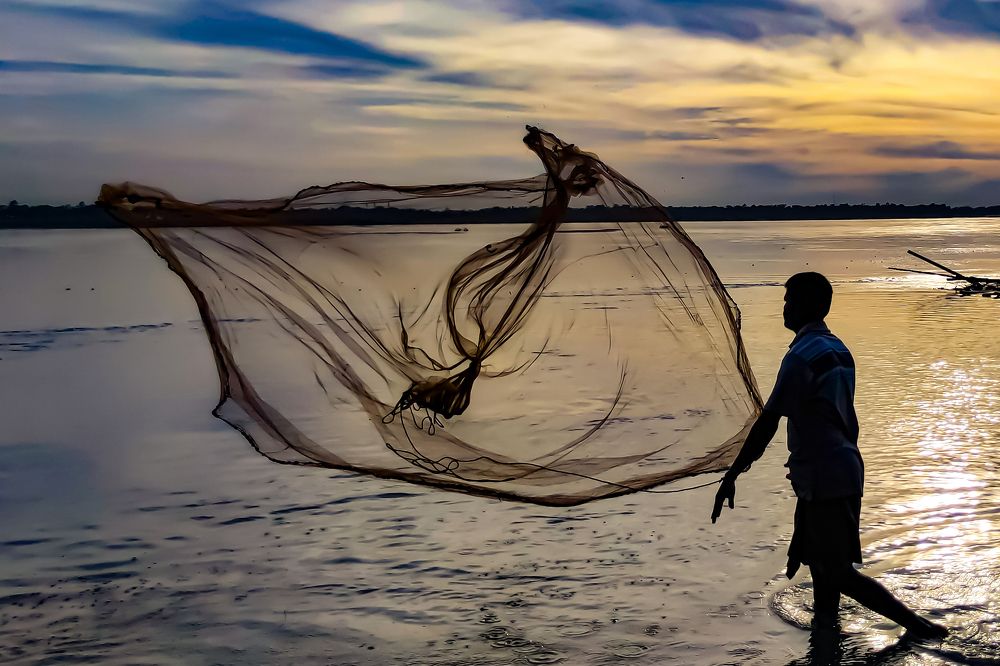 Livelihood