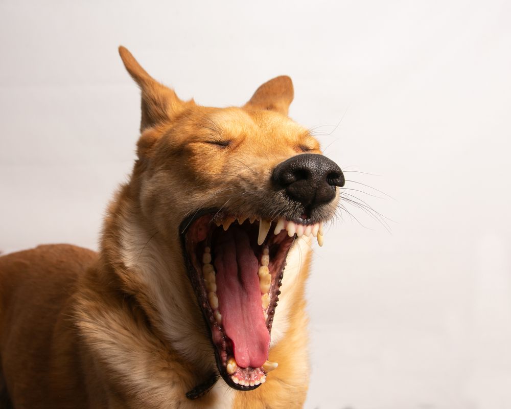 Photograph by Алексей Безгодько